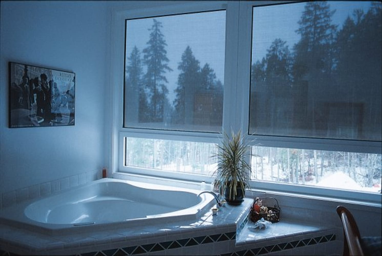 Projects by Sound Shade And Shutter