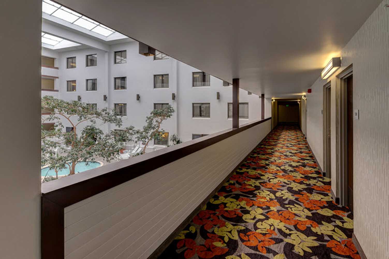 Wall Covering - Four Points by Sheraton/Bellingham