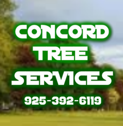 Concords Best Tree Service