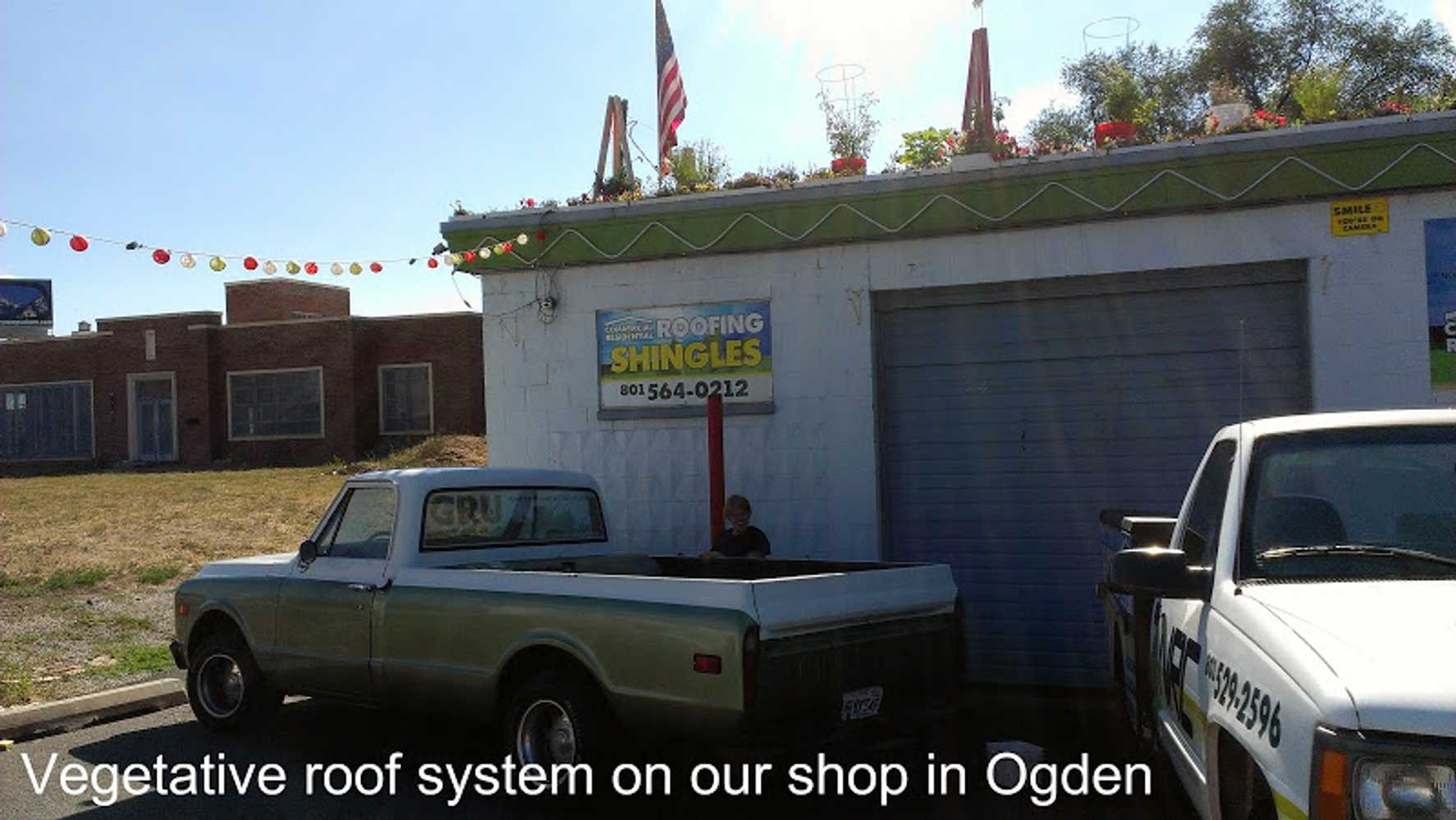 Garden Roofs