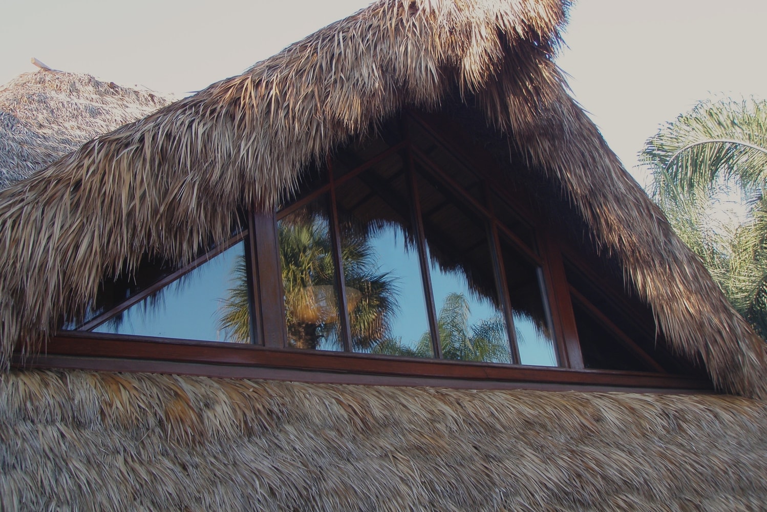 The Tiki Hut Company Portfolio