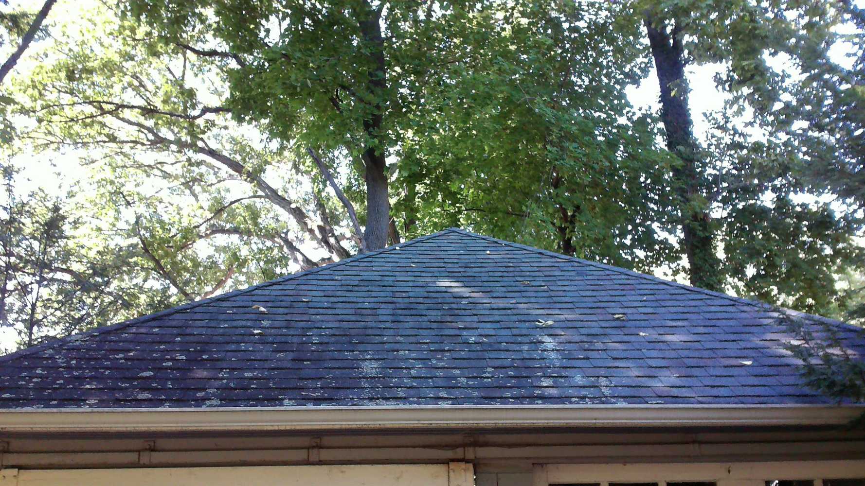 Roof Cleaning Restoration