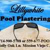 Lillywhite Pool Plastering