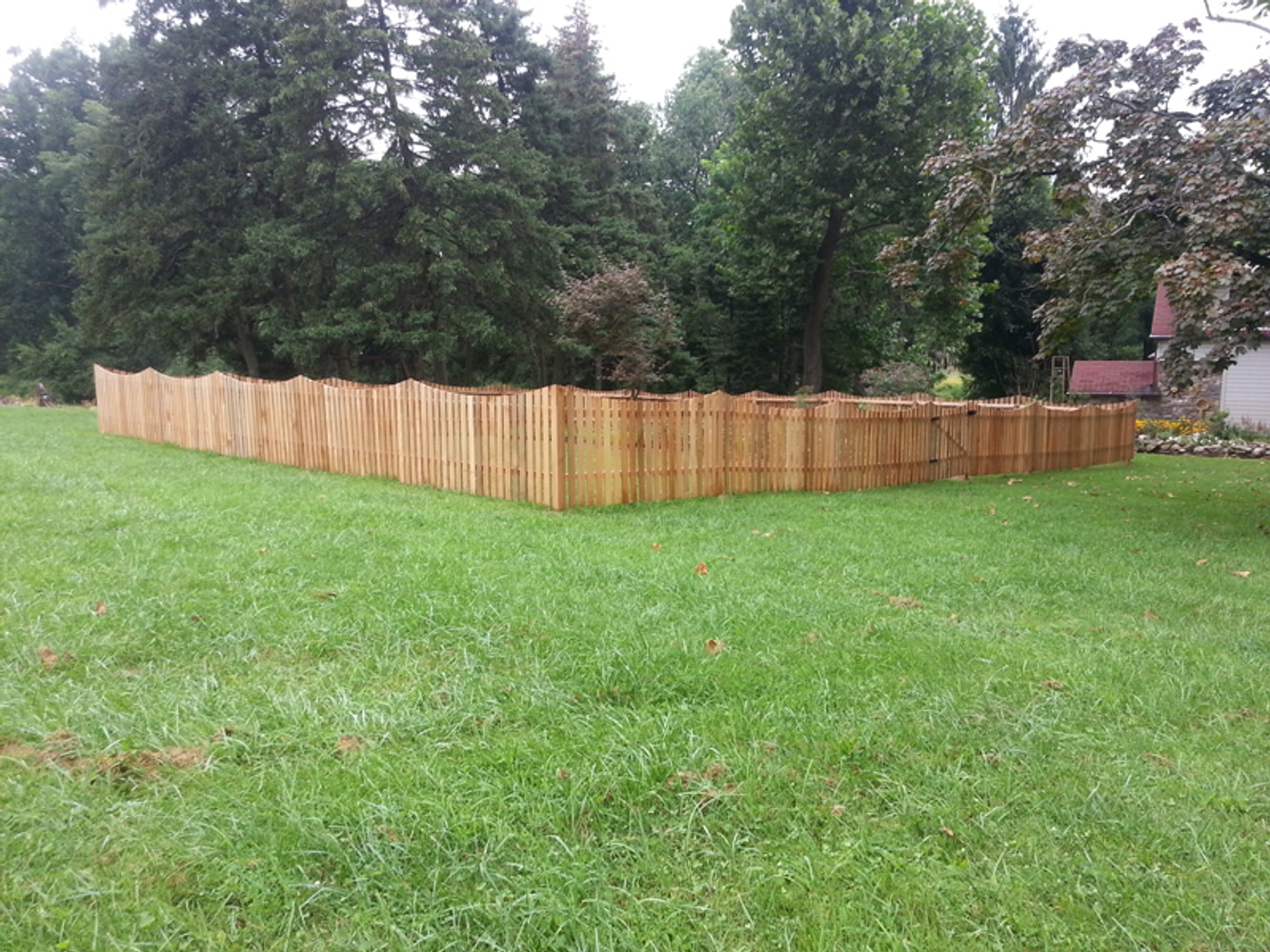 Photo(s) from Stripes Of Green