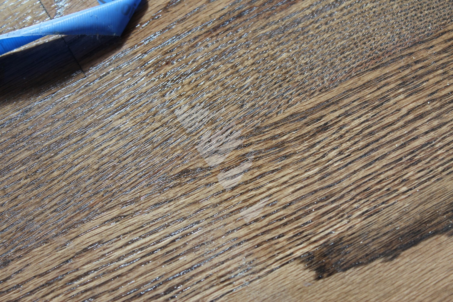 Samples and projects. 