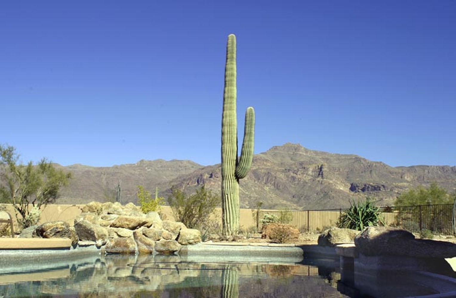 Photos from Pegasus Pool & Spa Llc