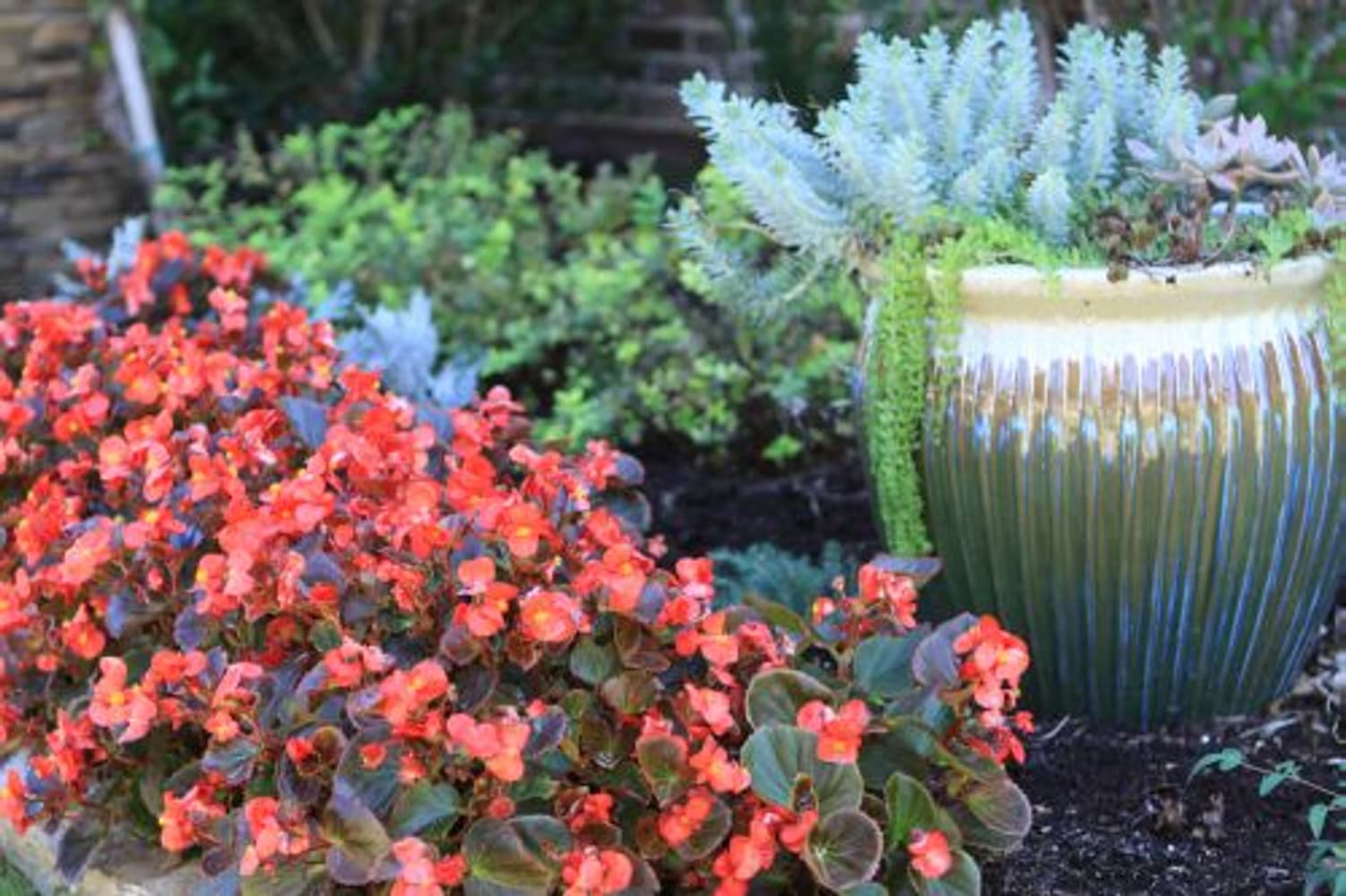 Landscape Design and Installation