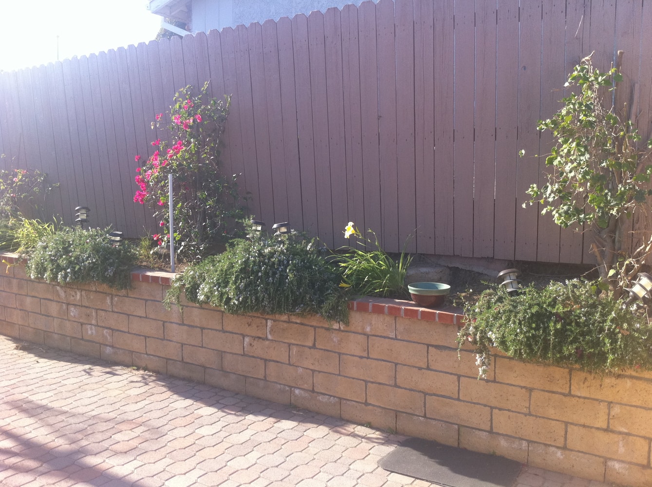 Projects by Affinity Painting Inc.