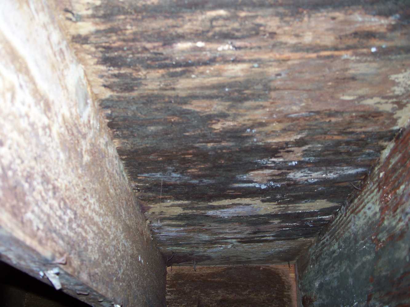 Crawlspace moisture damage- Don't let this happen to you. We can help.