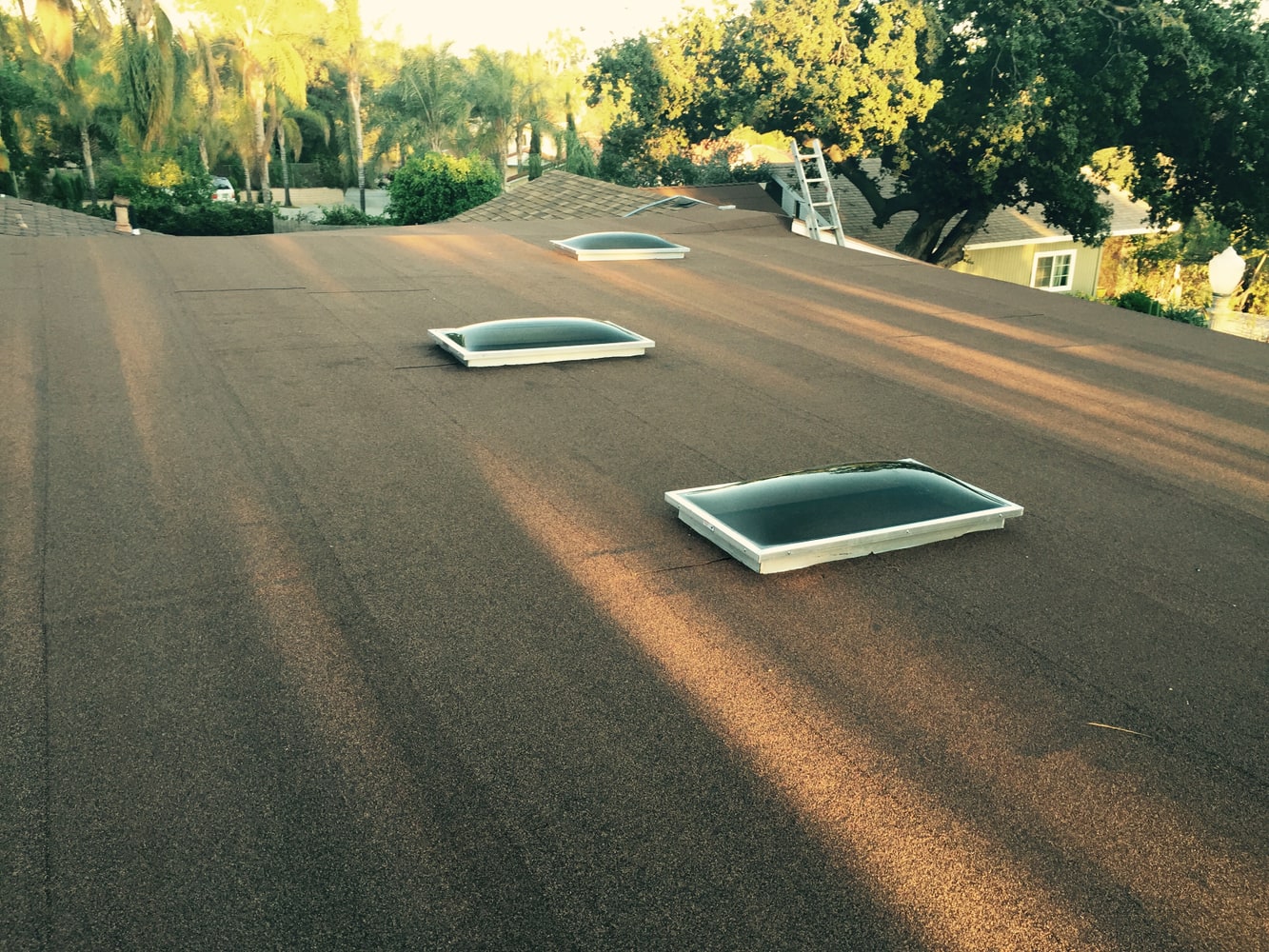 Photos from Johnny Randall Building