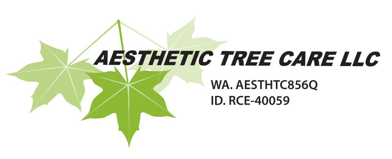 Aesthetic Tree Care Llc