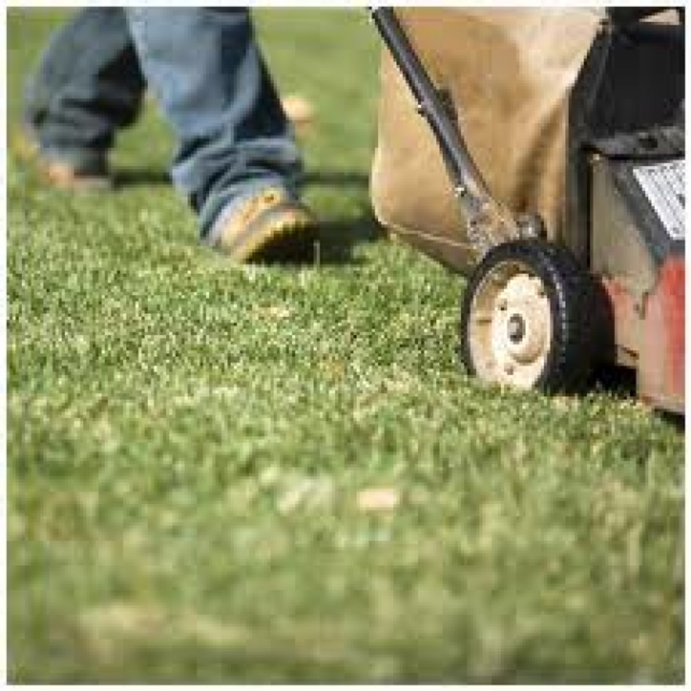 Machado's Landscape Construction 