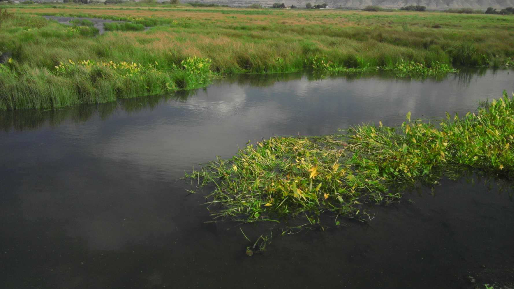 Kelson, Cardon, Ogden River Restoration & Wetland 