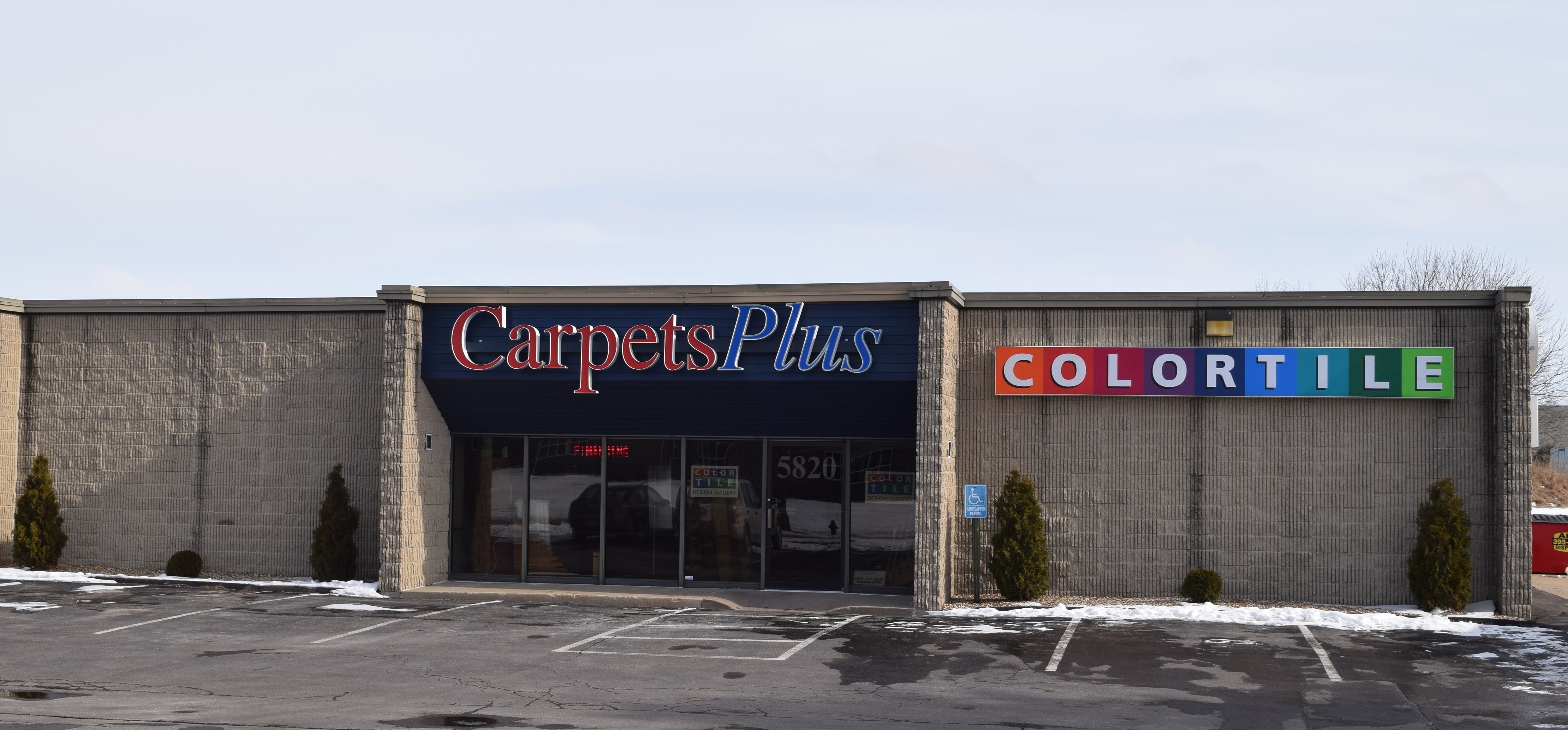 Carpetsplus Color Tile