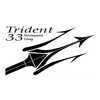 Trident 33 Development Group T/A Loren Tino Rowyn