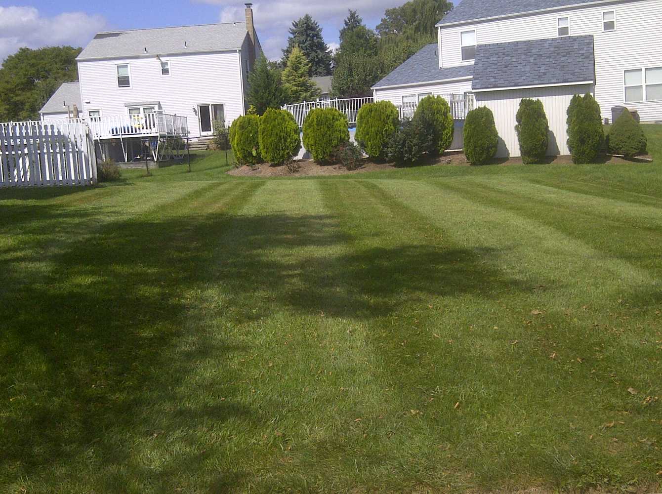 The Grass Groomers, Llc Project