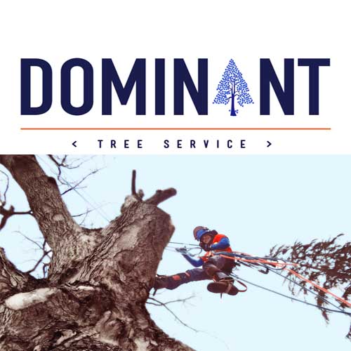 Dominant Tree Service Llc