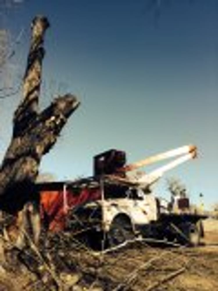 Photo(s) from All West of Colorado Tree service, Fence and Landscaping