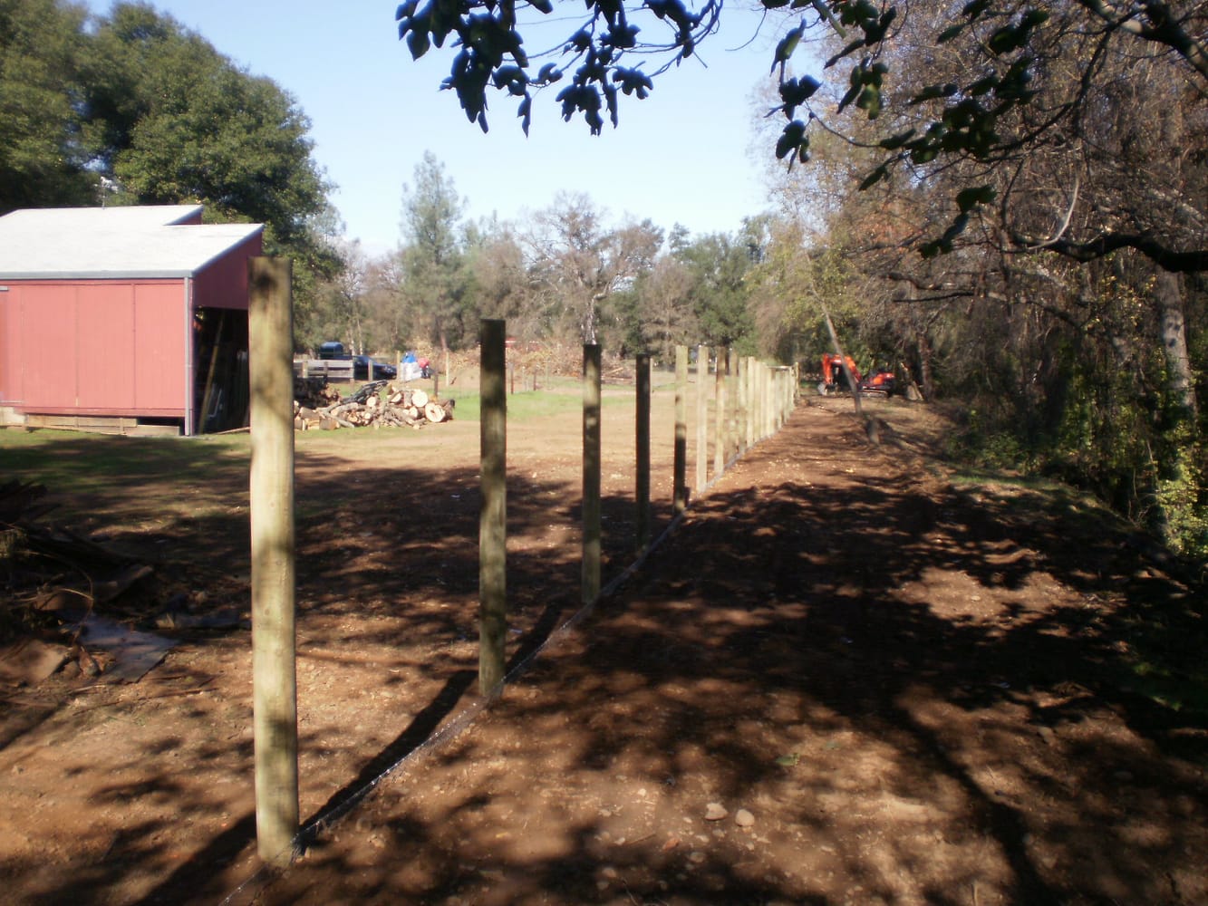 Fence Enclosure for Rescued Cats