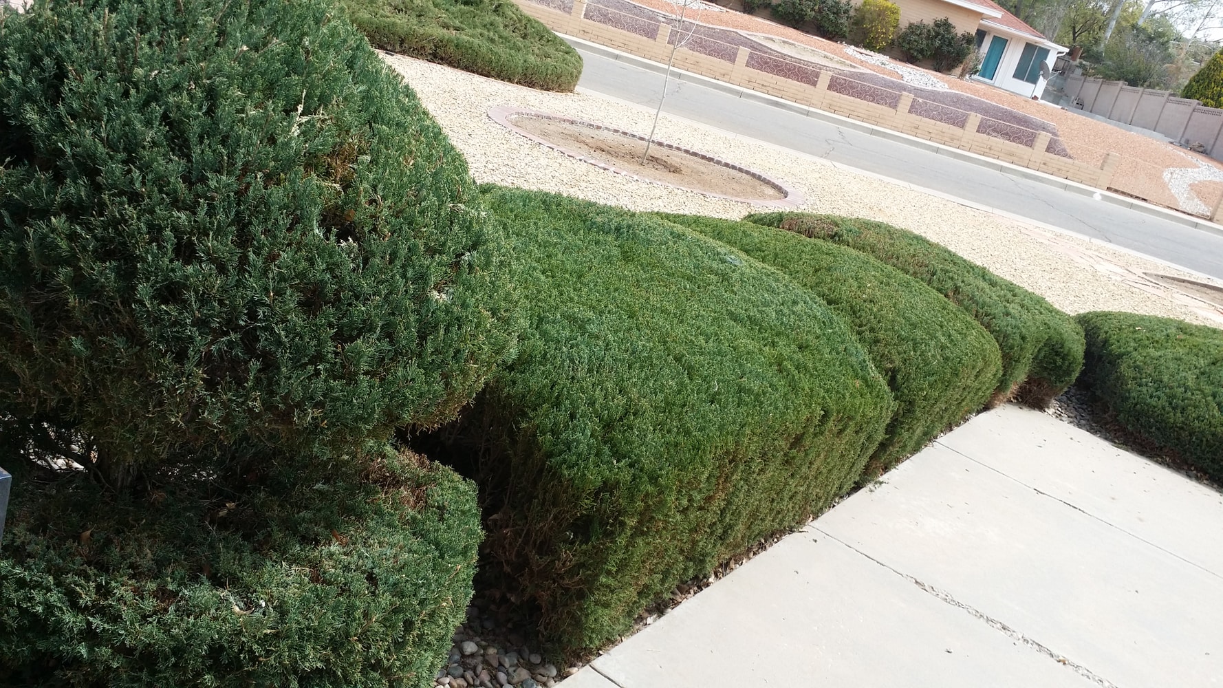 Photo(s) from Moore and Romero's landscaping and handyman services LLC