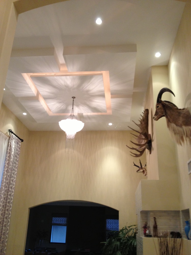 LED Lighting/Fiber Optics