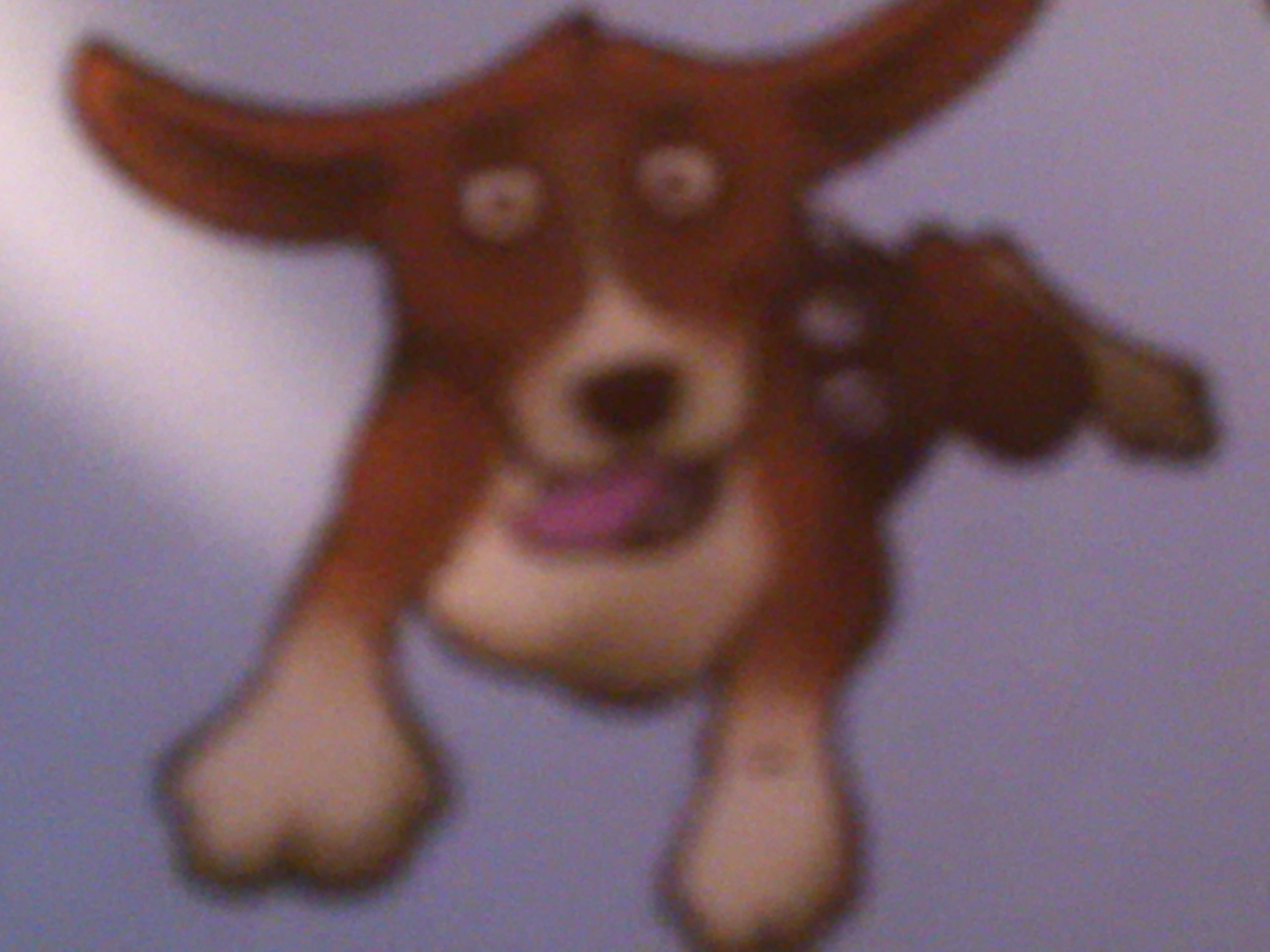 Flyin Dog Renovations