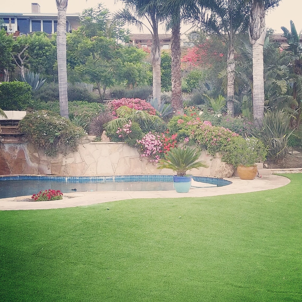 Saving water one yard at a time