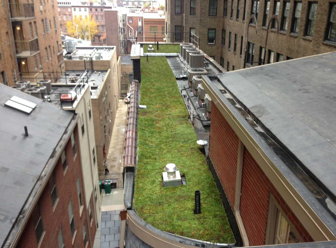 Vegetated Roofs