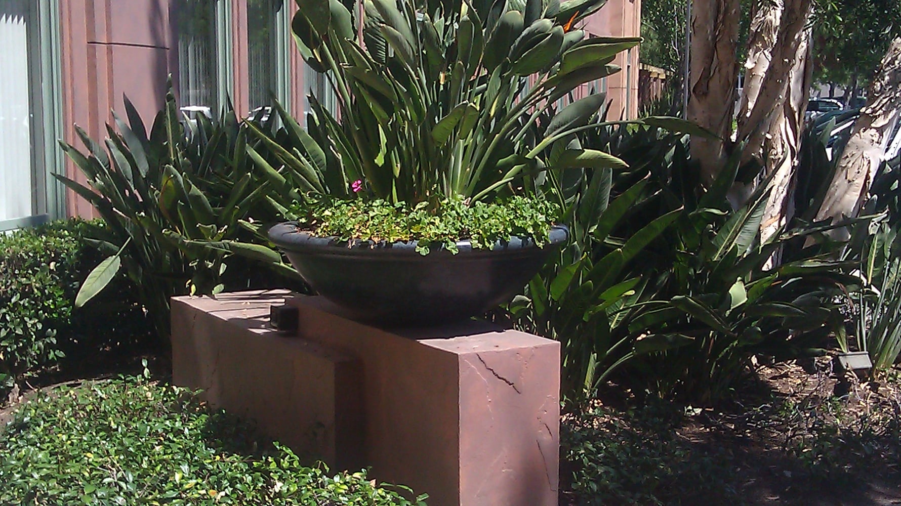 Photo(s) from R Patti Painting