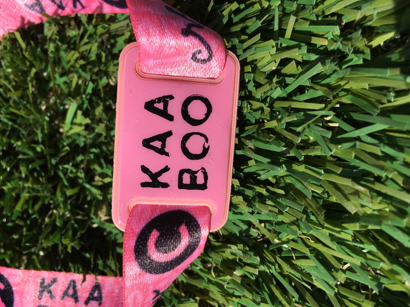 Kaaboo Festival by Omega Turf