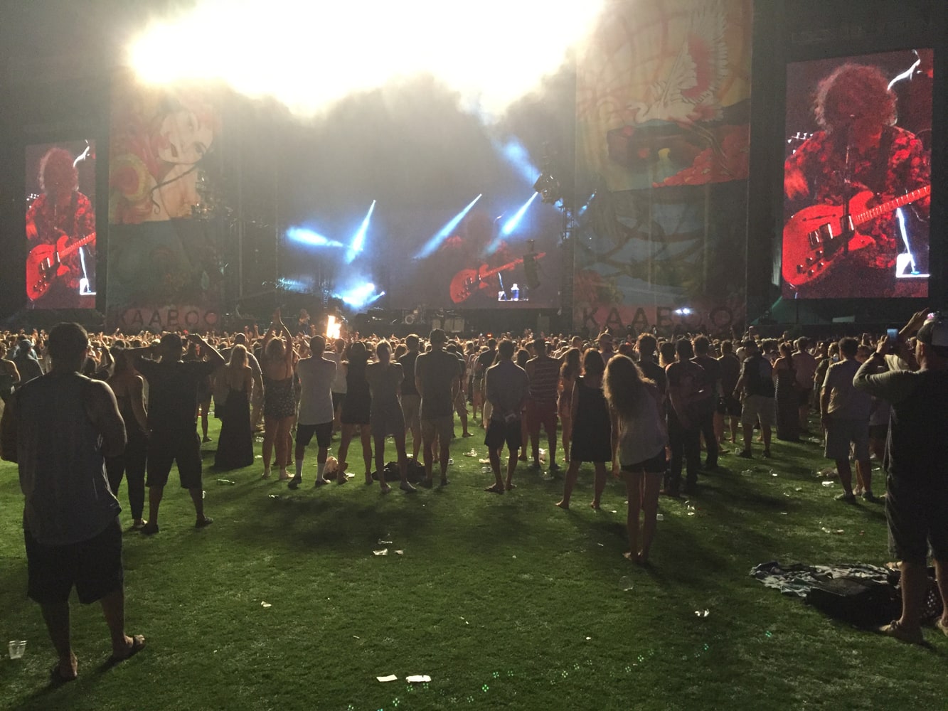 Kaaboo Festival by Omega Turf