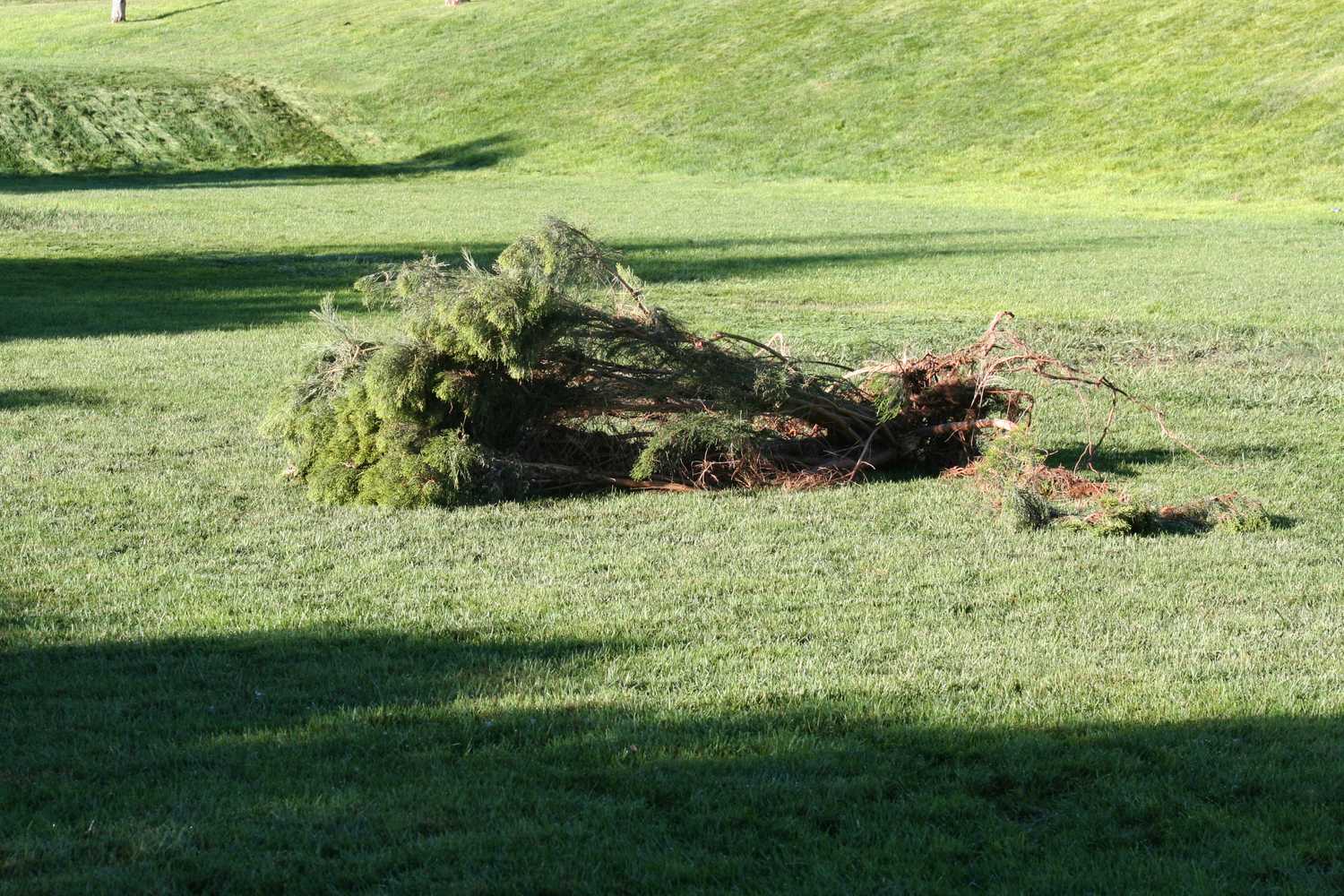 Beyond The Rocks Llc flood damage