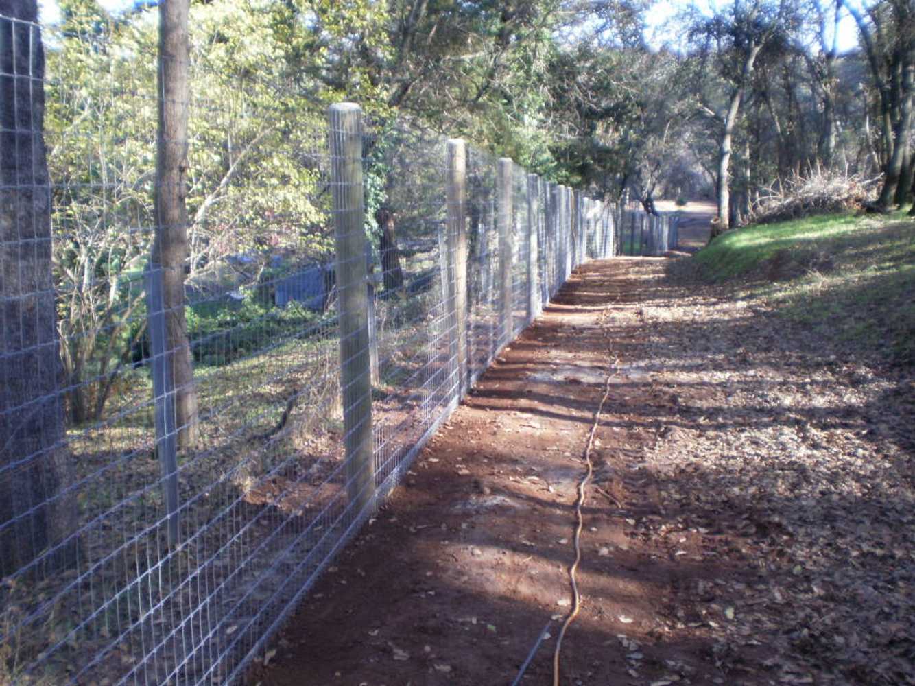 Fence Enclosure for Rescued Cats