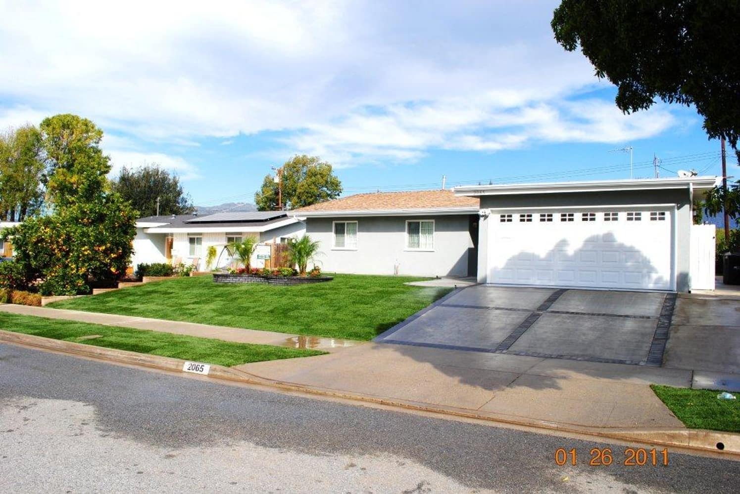 JACK'S NEW FRONT YARD