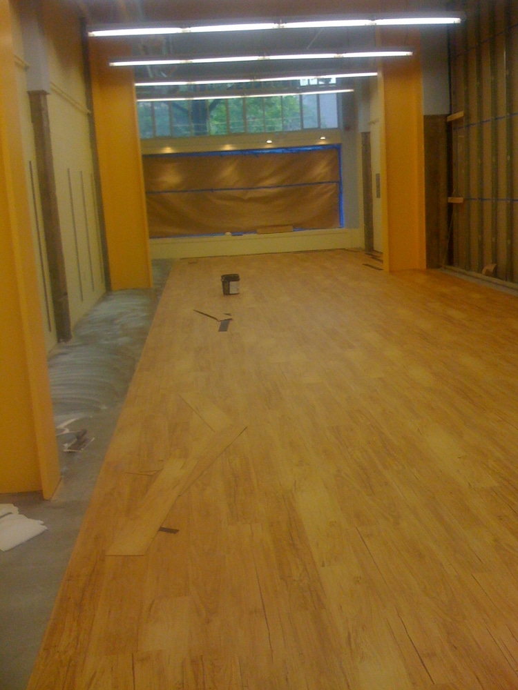 Hals Carpet & Vinyl Project