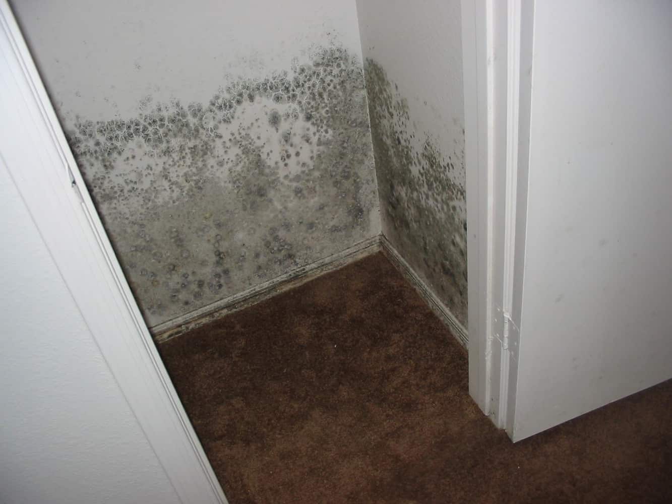 Photo(s) from Arizona Environmental Group (a dba of C & E Services, Inc.)