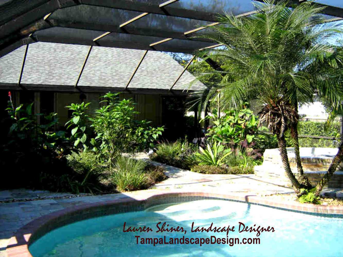 Project photos from Tampa Landscape Design