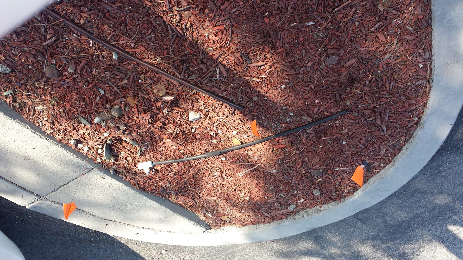 The Complete Yard Service Project