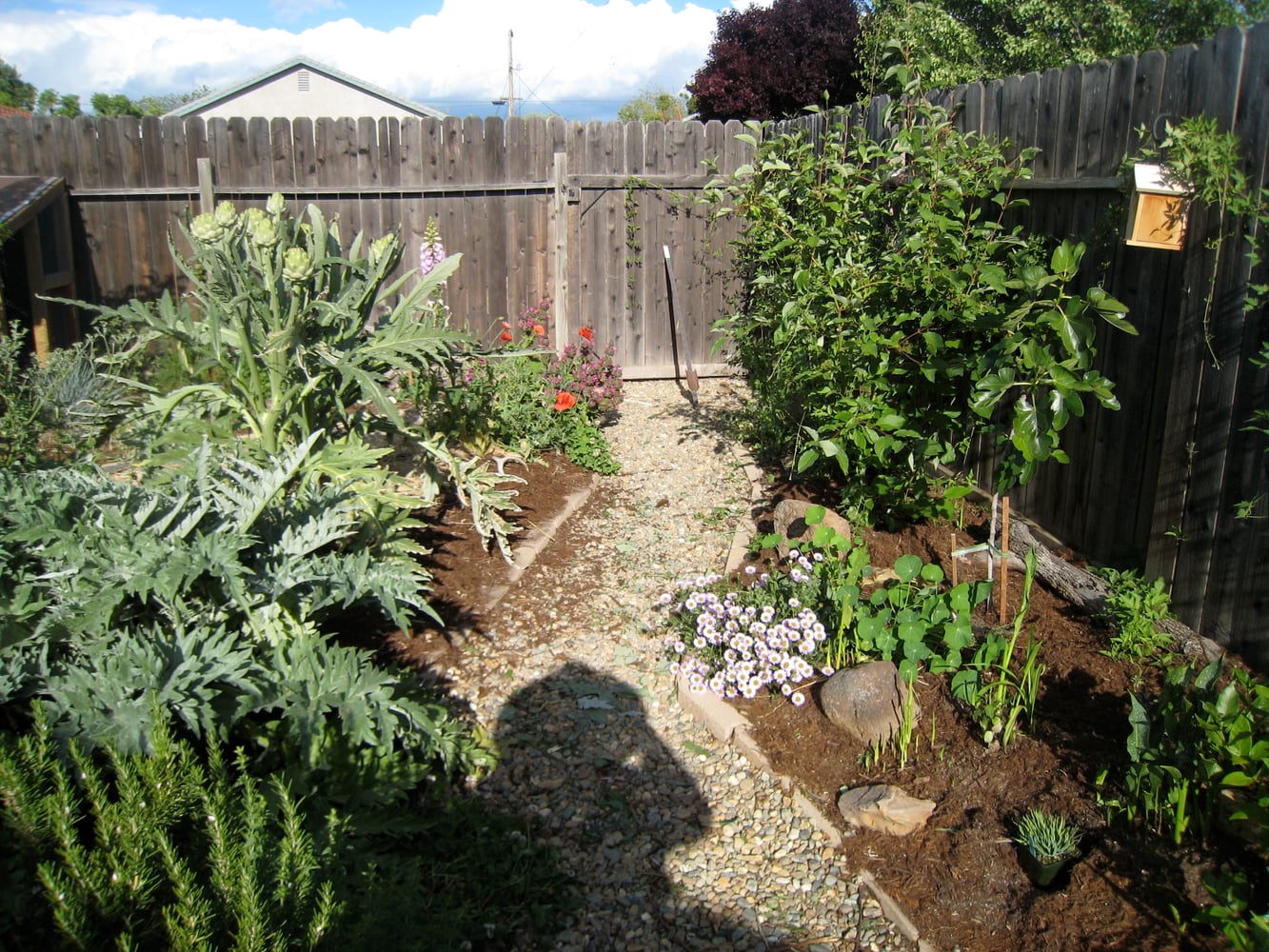 Backyard Food Production