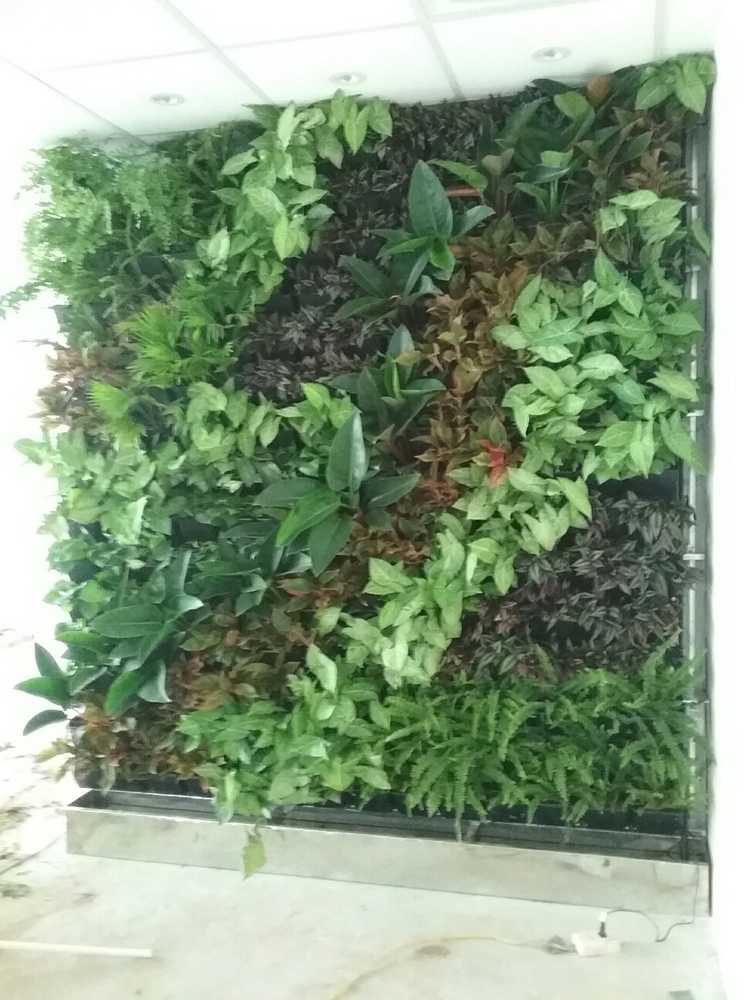 Vertical Gardens