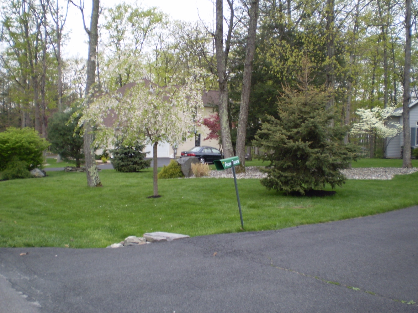 Walkways, Plantings, Retaining wall