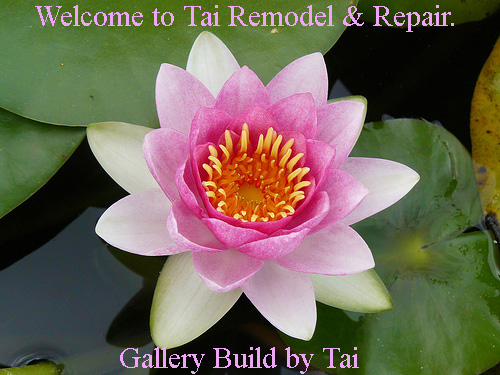 Tai Commercial Residential Build Remodel And Repair Company