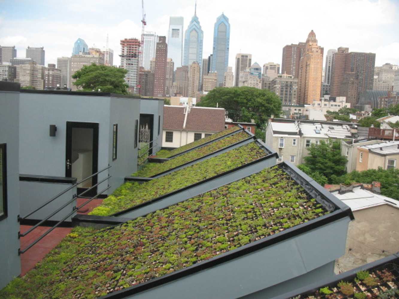 Vegetated Roofs