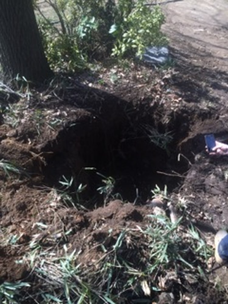 Septic to Sewer 300+ feet - 302 Year Old Home