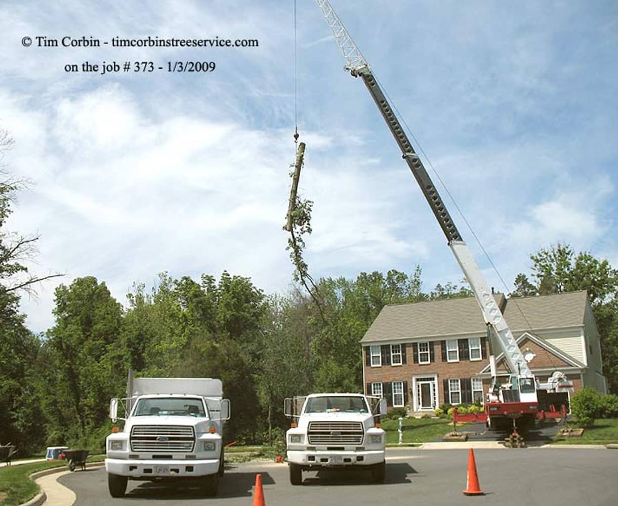 Project photos from Tim Corbin's Tree Service