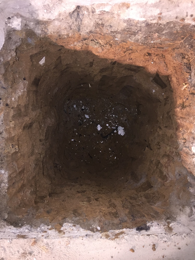 Photos from David Sisko