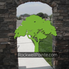 Rockwell Pointe Inc