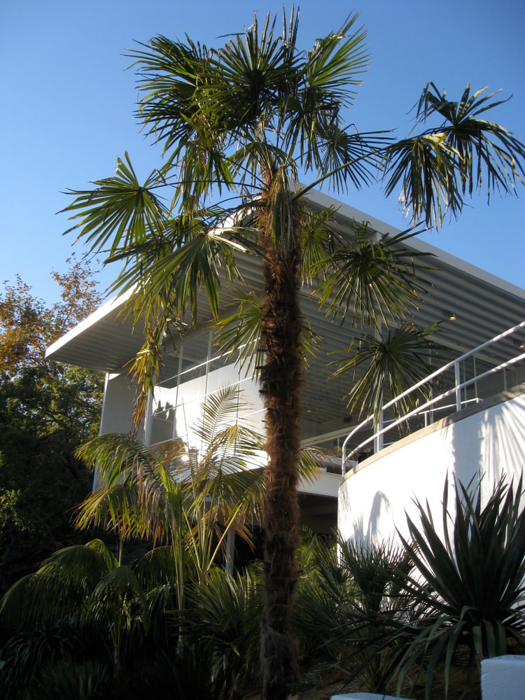 Neil Johnson Steel House