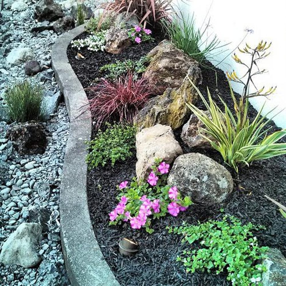 Hoopster Haven in Novato, Ca.