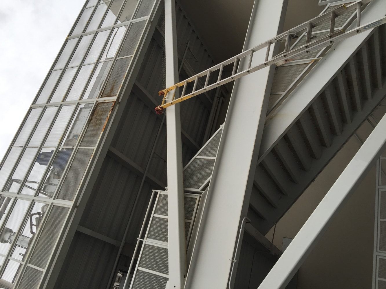 Photos from Brad Fischer painting 